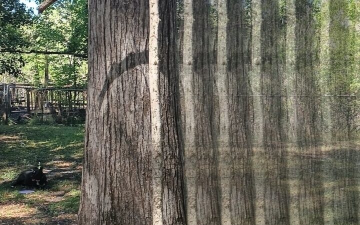 Wellsburg City Park - Wellsburg, WV