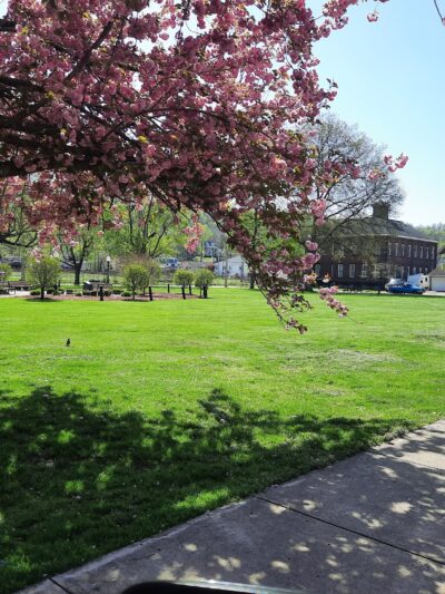 Wellsburg City Park - Wellsburg, WV