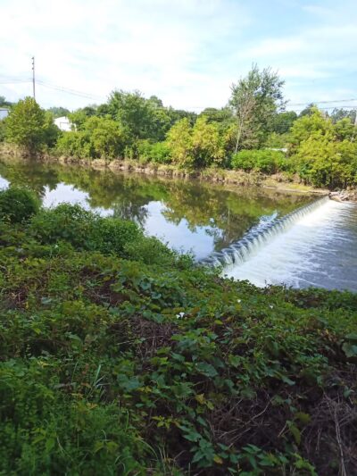 Quackenbush Fields - Wellsville, NY