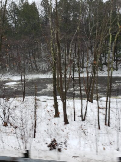 Wendell State Forest - Wendell, MA