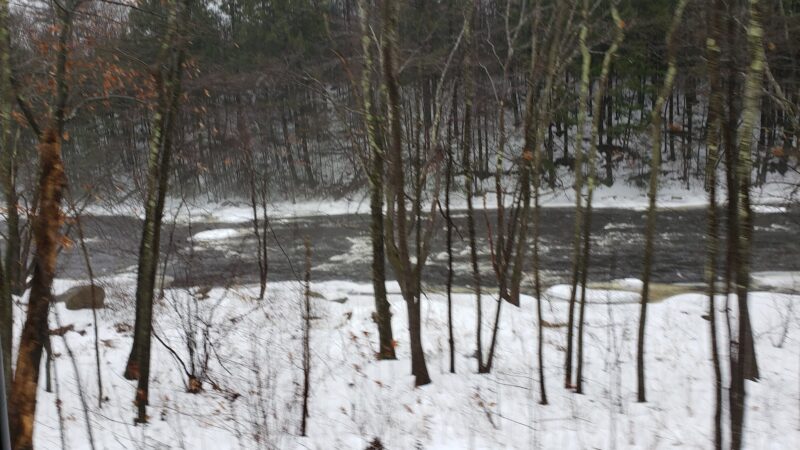 Wendell State Forest - Wendell, MA