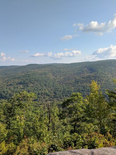 Wendell State Forest - Wendell, MA