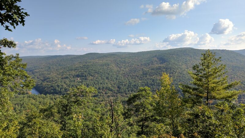 Wendell State Forest - Wendell, MA