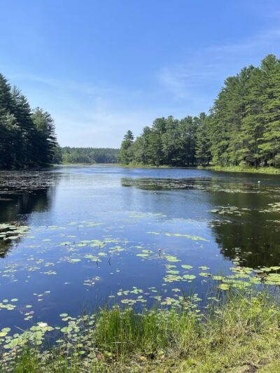 Wendell State Forest - Wendell, MA