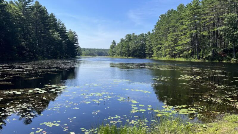 Wendell State Forest - Wendell, MA