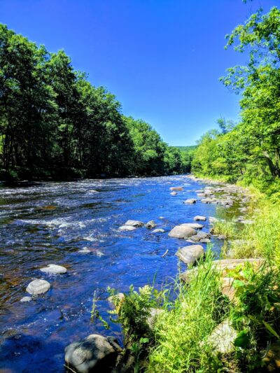 Wendell State Forest - Wendell, MA