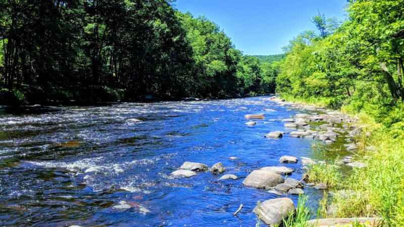 Wendell State Forest - Wendell, MA