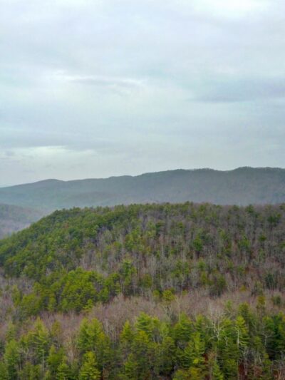 Wild Oak Trail - West Augusta, VA