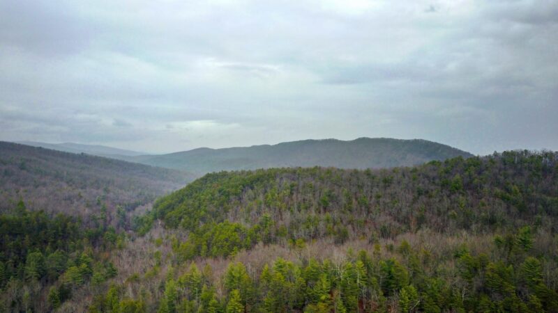 Wild Oak Trail - West Augusta, VA