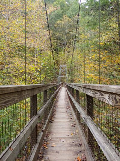 Wild Oak Trail - West Augusta, VA