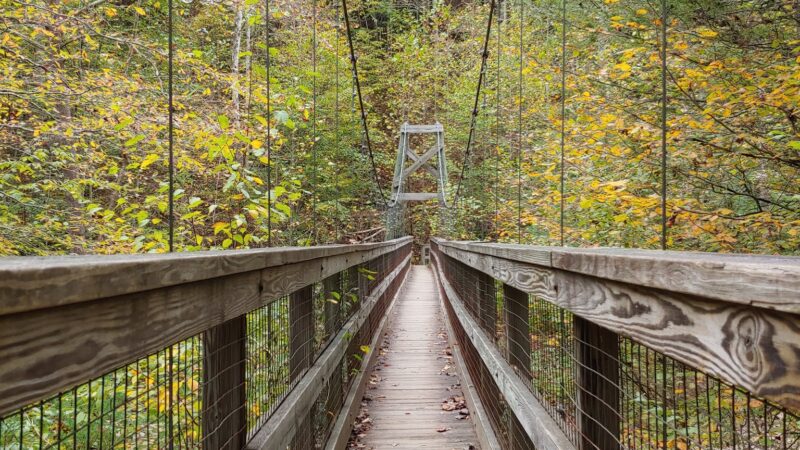 Wild Oak Trail - West Augusta, VA