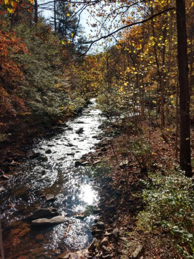 Wild Oak Trail - West Augusta, VA