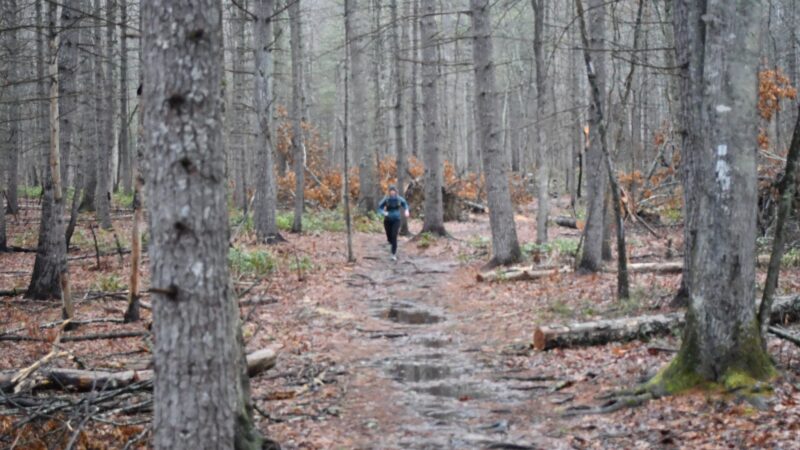 Wild Oak Trail - West Augusta, VA
