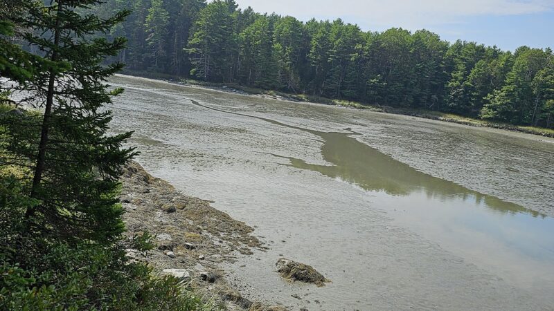 Hamilton Audubon Sanctuary parking - West Bath, ME