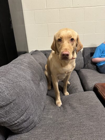 Bobby"s Pet Boarding - West Blocton, AL