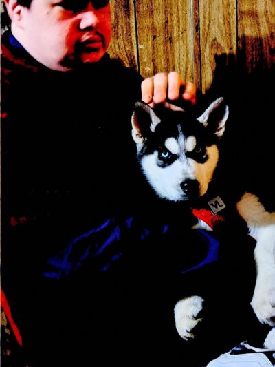 Bobby"s Pet Boarding - West Blocton, AL