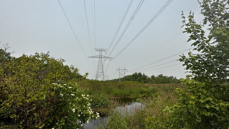 Bay Circuit Trail Head (Hockamock) - West Bridgewater, MA