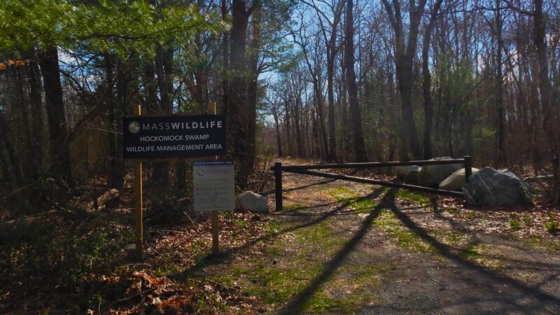 Bay Circuit Trail Head (Hockamock) - West Bridgewater, MA
