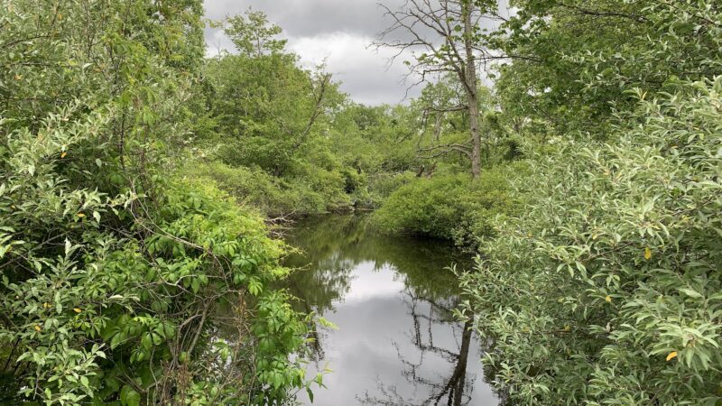 Bay Circuit Trail Head (Hockamock) - West Bridgewater, MA
