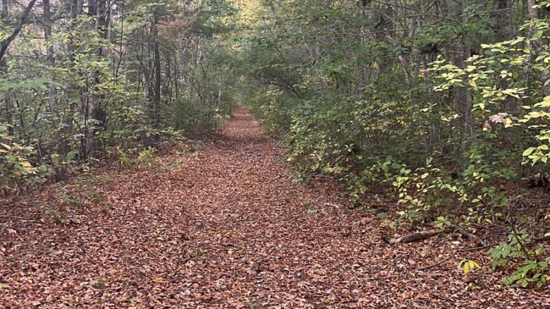 Bay Circuit Trail Head (Hockamock) - West Bridgewater, MA