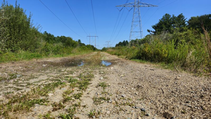 Bay Circuit Trail Head (Hockamock) - West Bridgewater, MA