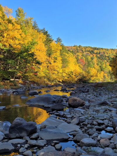 Chesterfield Gorge Reservation - West Chesterfield, MA