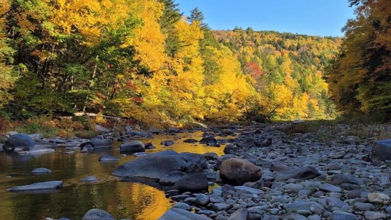 Chesterfield Gorge Reservation - West Chesterfield, MA