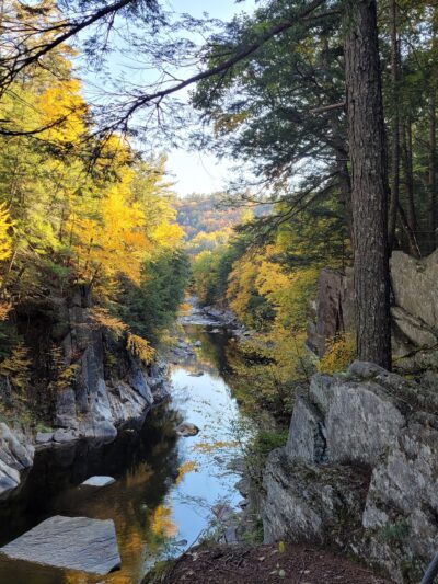 Chesterfield Gorge Reservation - West Chesterfield, MA