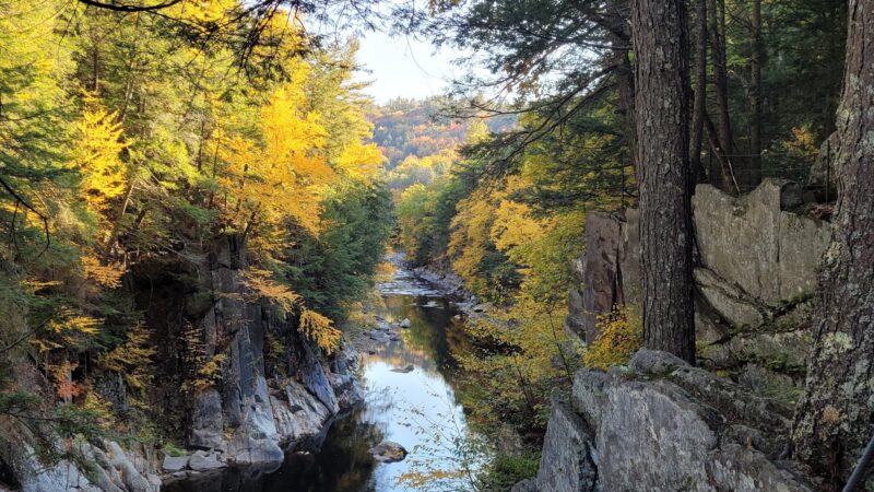 Chesterfield Gorge Reservation - West Chesterfield, MA