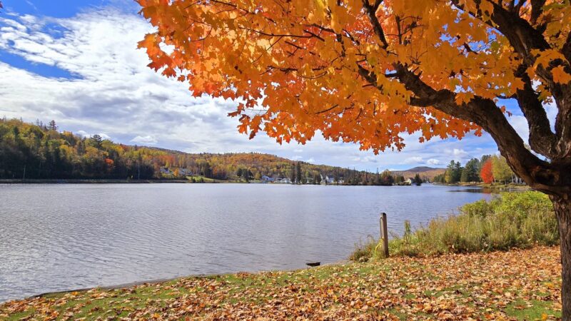 Joe's Pond Trailhead and parking - West Danville, VT