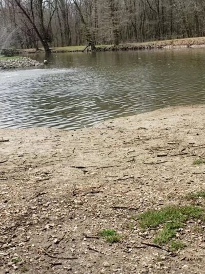 Frankfort Community Park - West Frankfort, IL