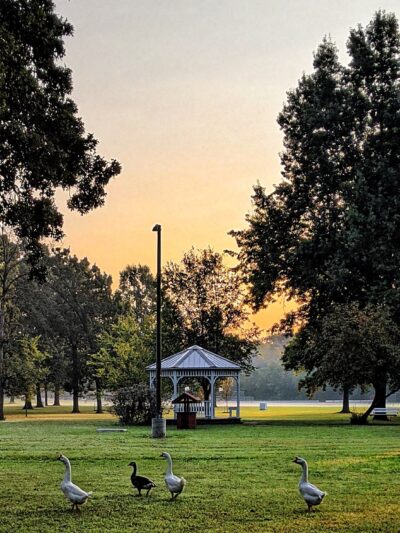 Frankfort Community Park - West Frankfort, IL