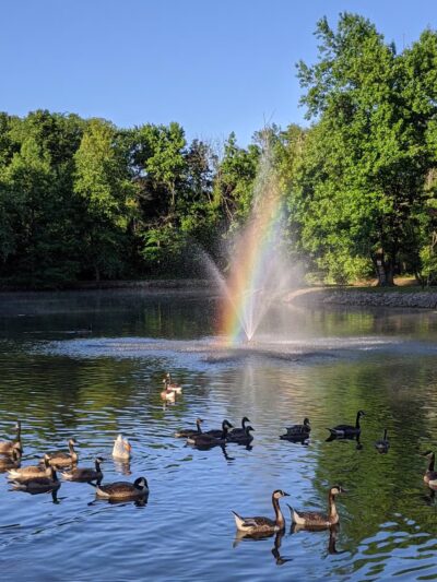 Frankfort Community Park - West Frankfort, IL