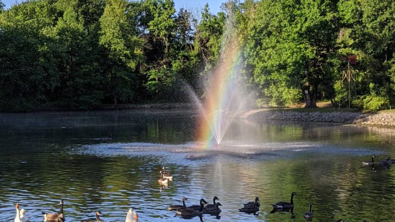 Frankfort Community Park - West Frankfort, IL