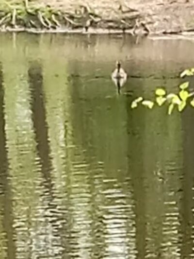 West Frankfort Park Office - West Frankfort, IL