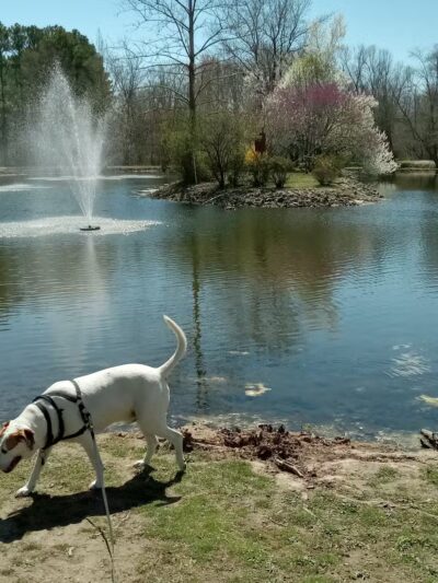 West Frankfort Park Office - West Frankfort, IL