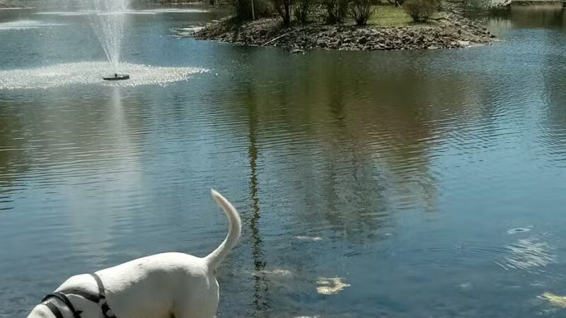 West Frankfort Park Office - West Frankfort, IL