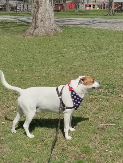 West Frankfort Park Office - West Frankfort, IL