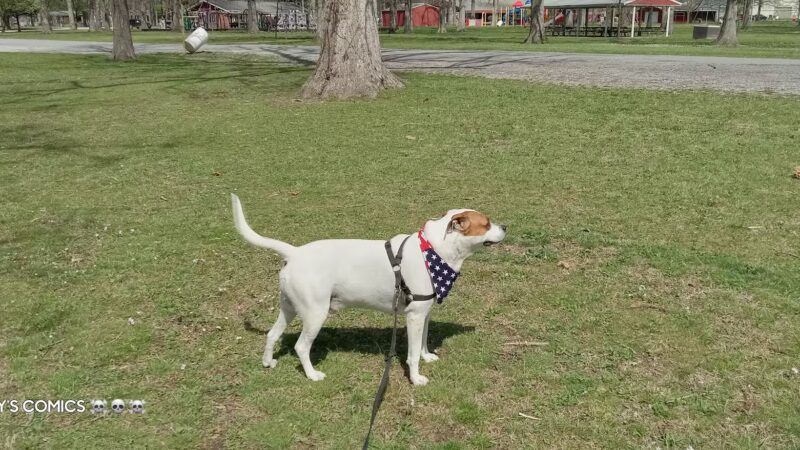 West Frankfort Park Office - West Frankfort, IL