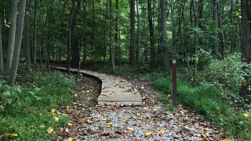 Goddard Dog Park - West Grove, PA