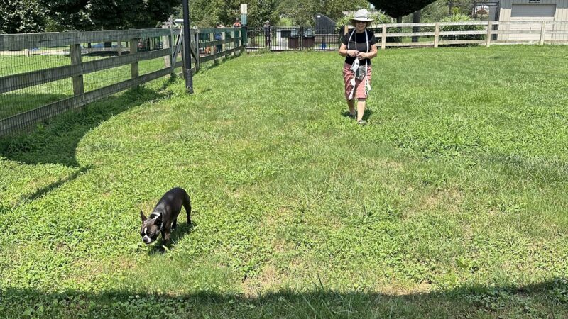 Goddard Dog Park - West Grove, PA