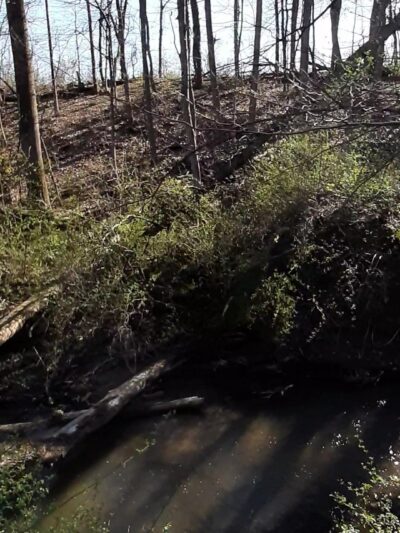 Fairville Park - West Hanover Township, PA