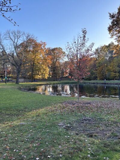 Fernridge Park and Pool - West Hartford, CT
