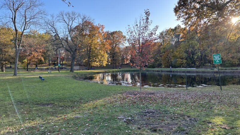 Fernridge Park and Pool - West Hartford, CT
