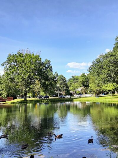 Fernridge Park and Pool - West Hartford, CT
