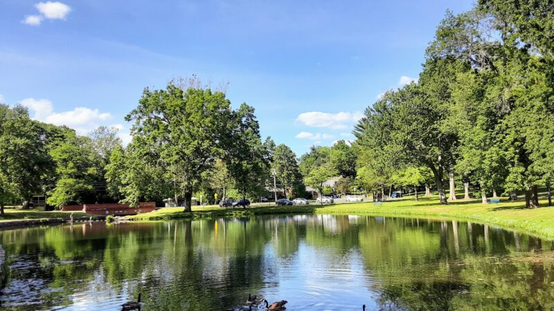 Fernridge Park and Pool - West Hartford, CT