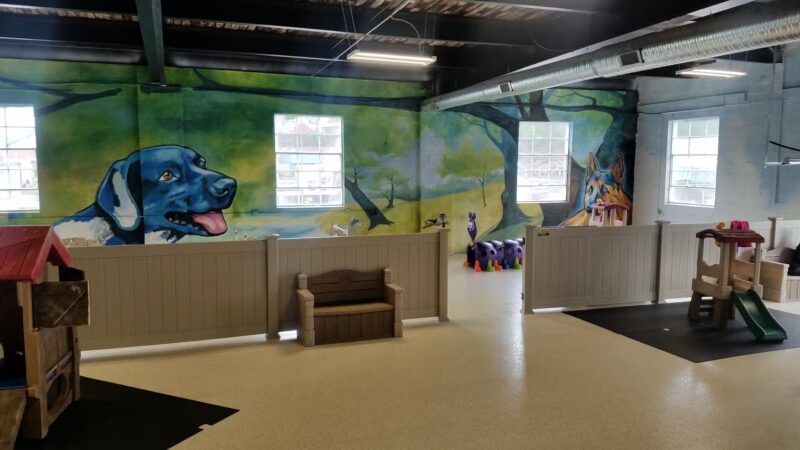 Wagging Tails Pet Resort and Spaw | Cat & Dog Boarding - Cat & Dog Grooming CT - West Hartford, CT