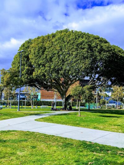 West Hollywood Park - West Hollywood, CA