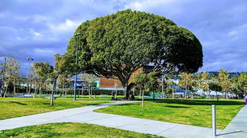 West Hollywood Park - West Hollywood, CA