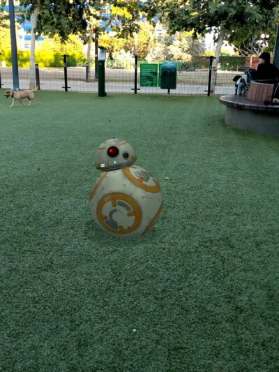 West Hollywood Park Dog Park - West Hollywood, CA